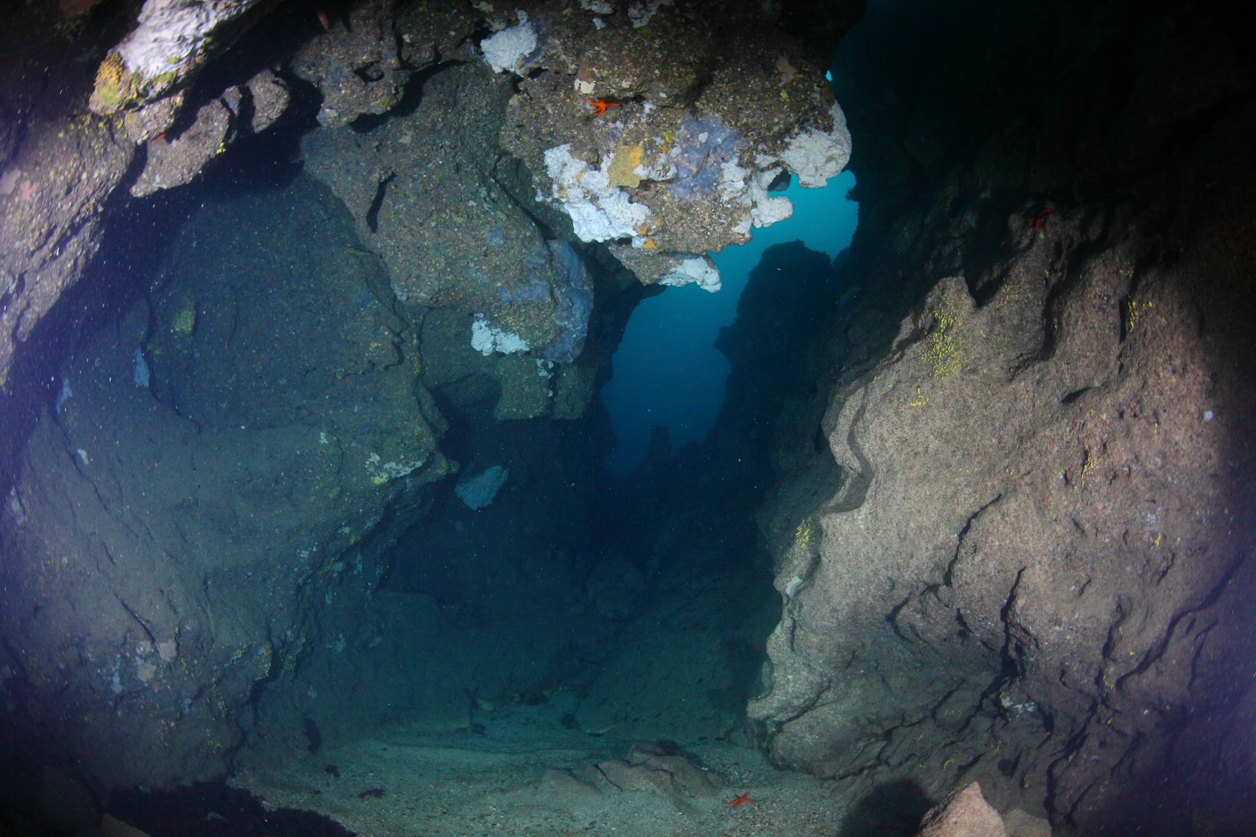 Canyons sous-marins - Crédit : © Marie-Noëlle de Casamajor