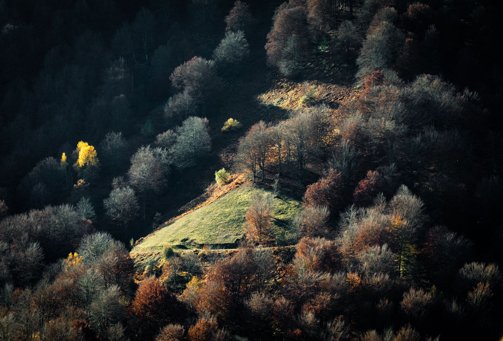 FORET ERREKA HAUNDI BANCA FOUGERES