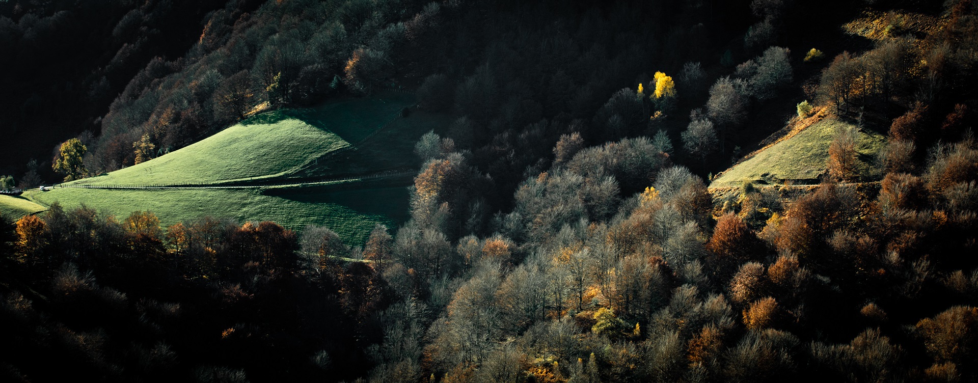 FORET ERREKA HAUNDI BANCA FOUGERES - Crédit : ©Communauté Pays Basque_ CarolePro