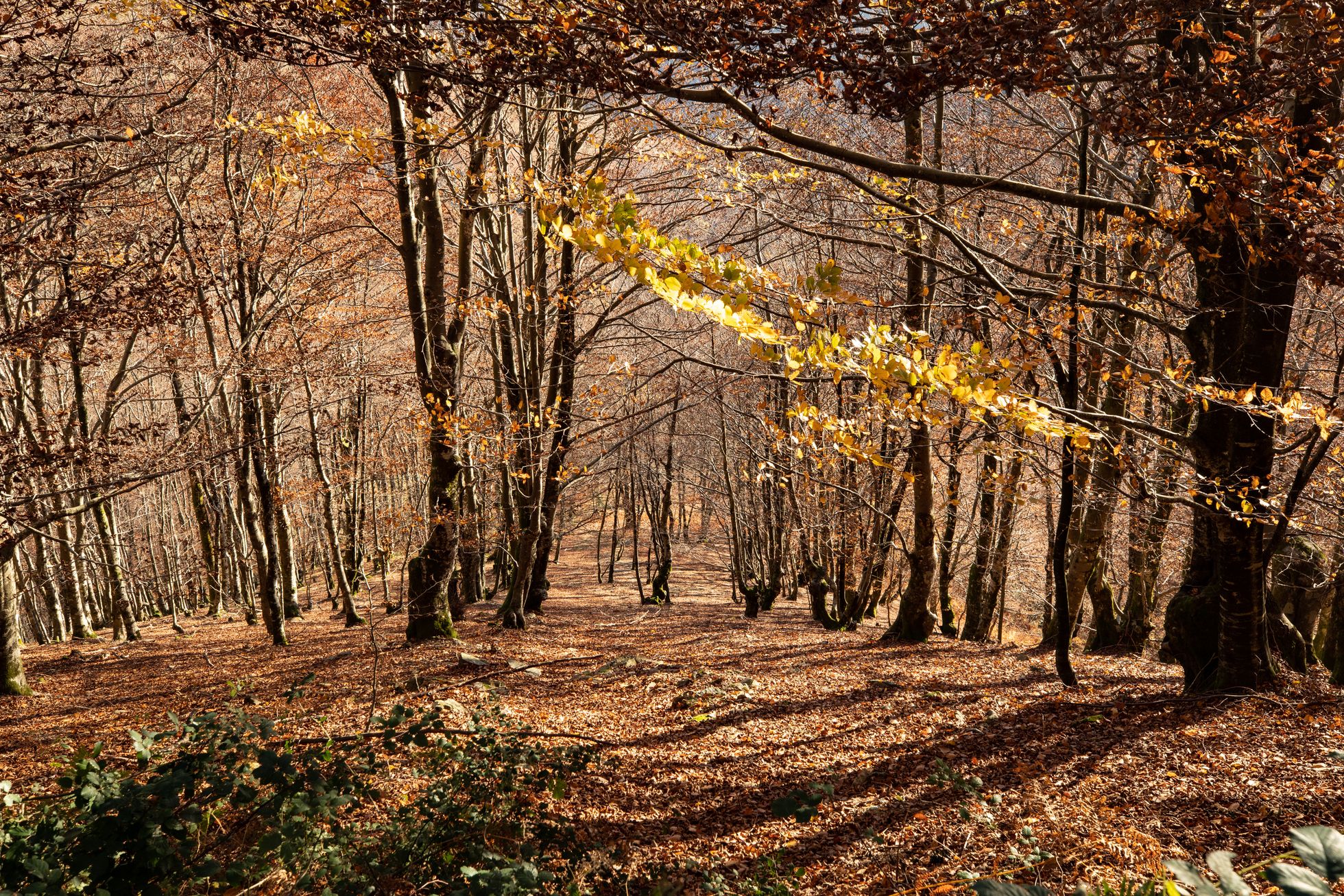 Les milieux naturels