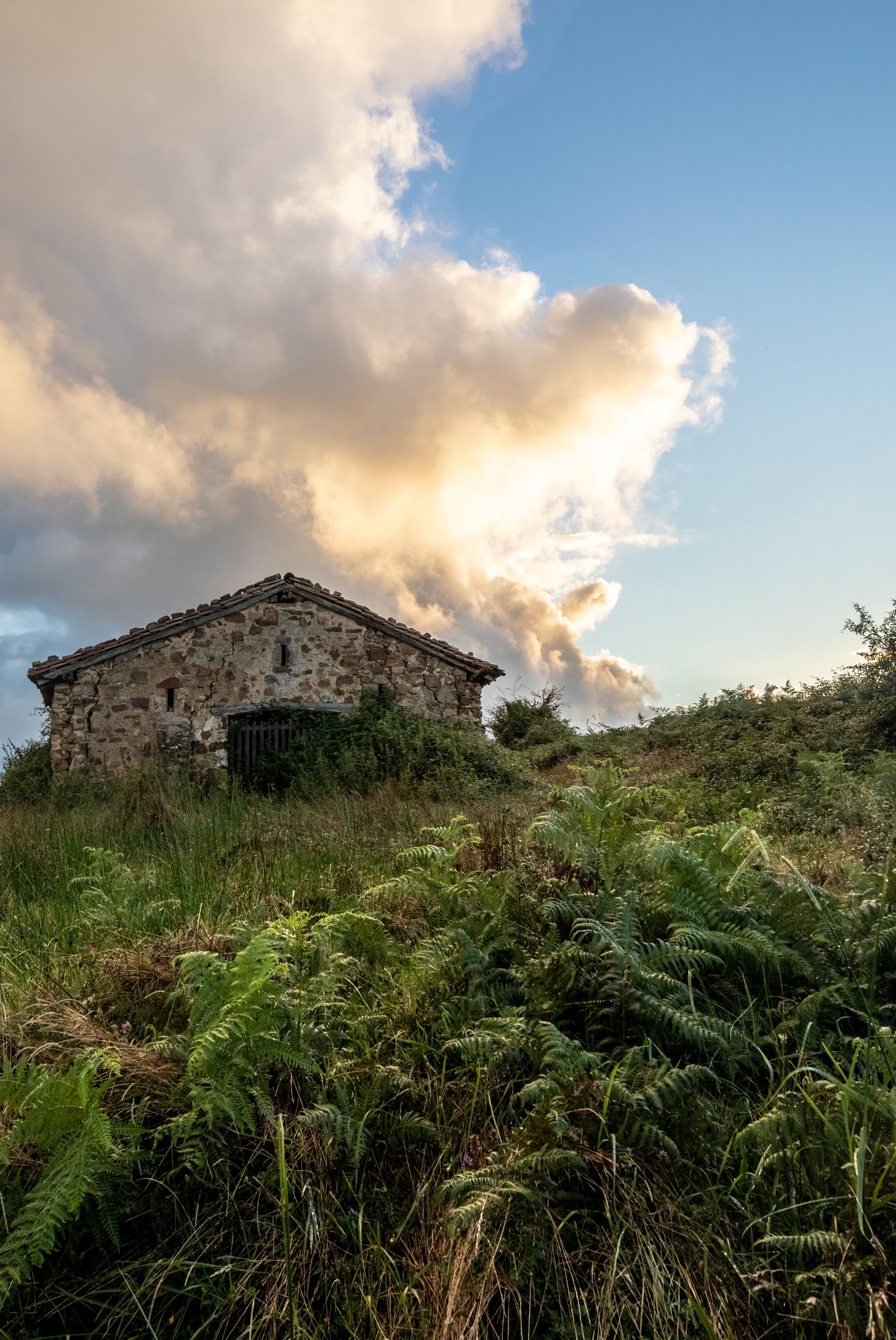 Landes d'Isturitz