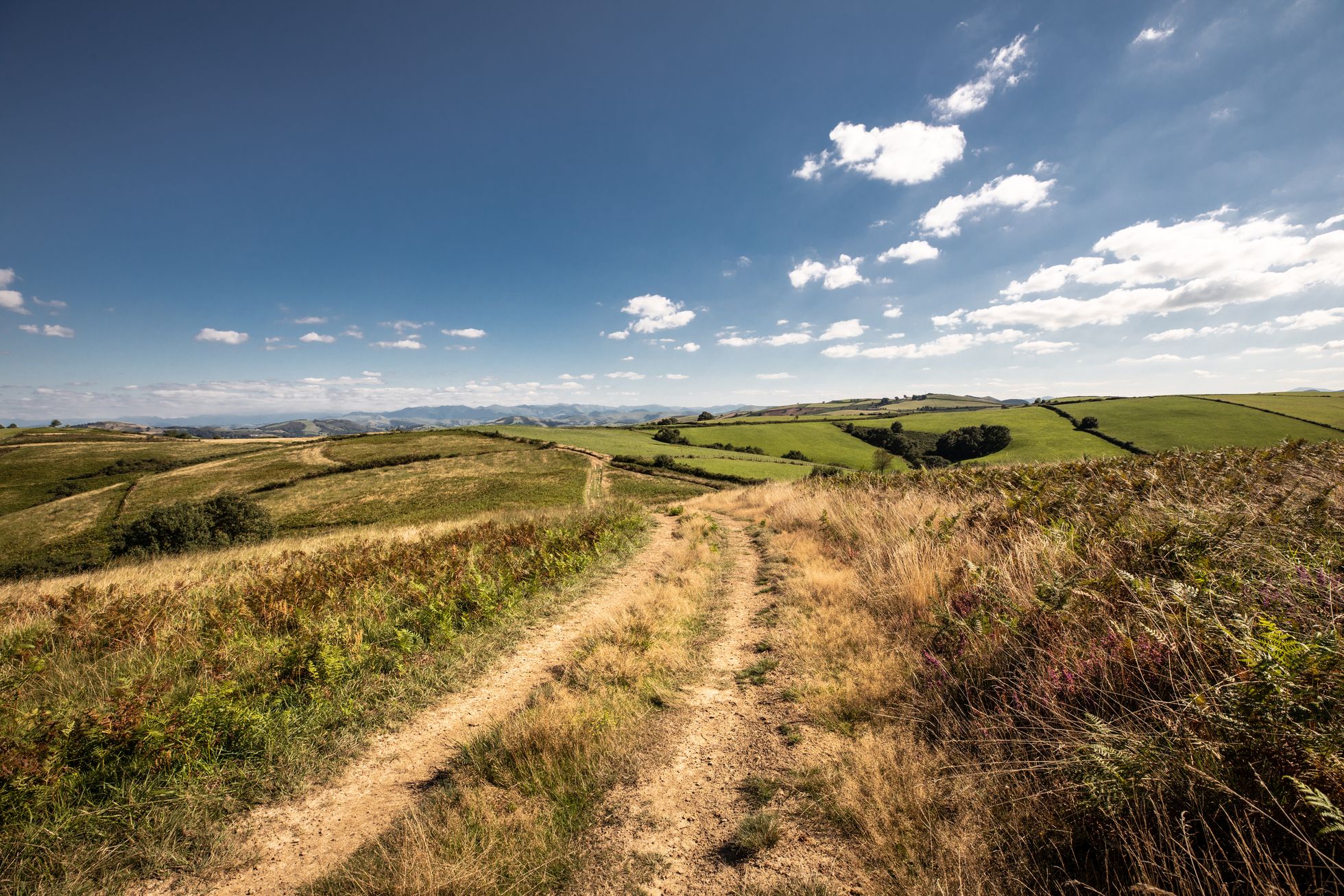 Landes d'Isturitz