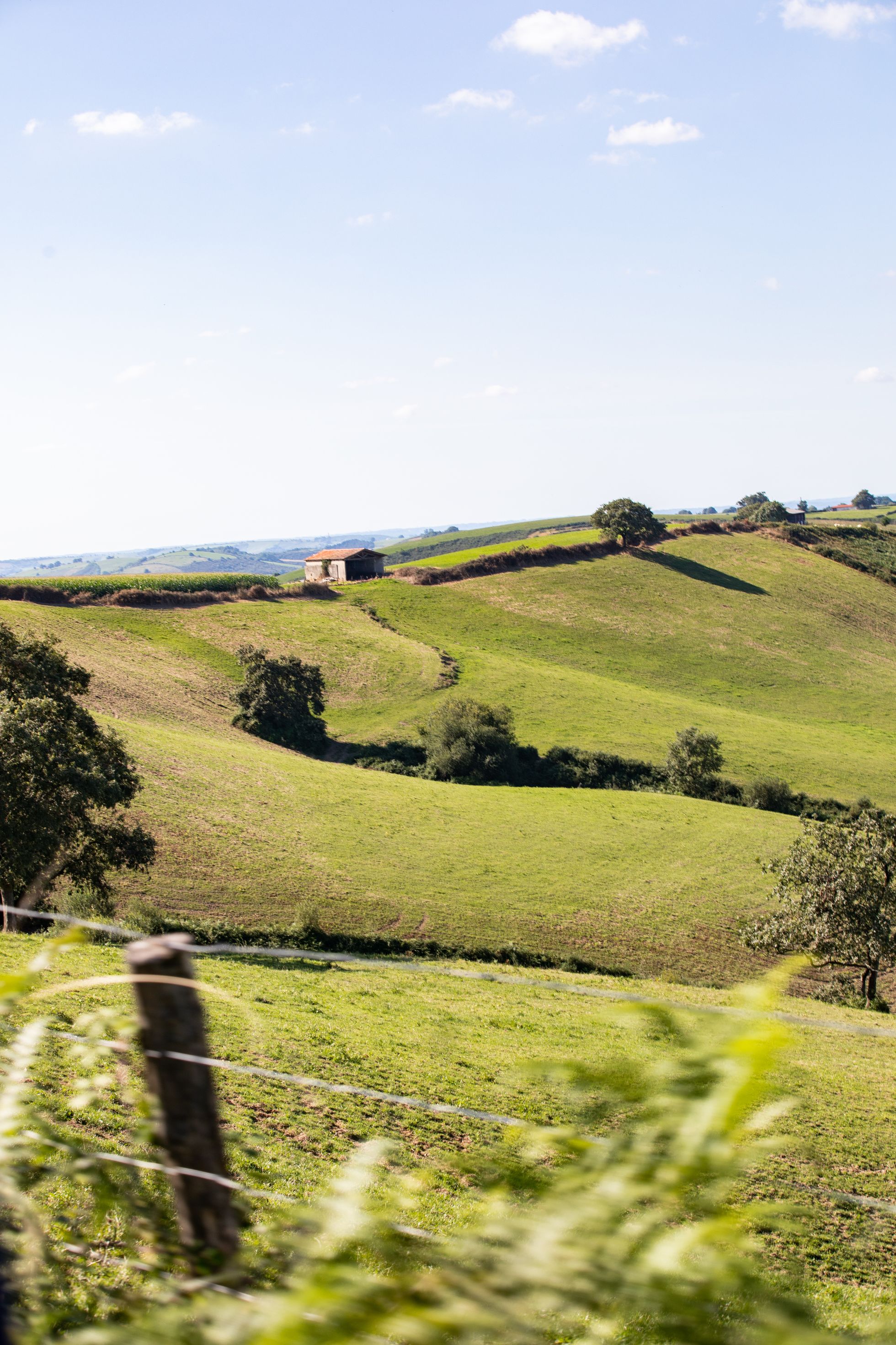 Landes d'Isturitz