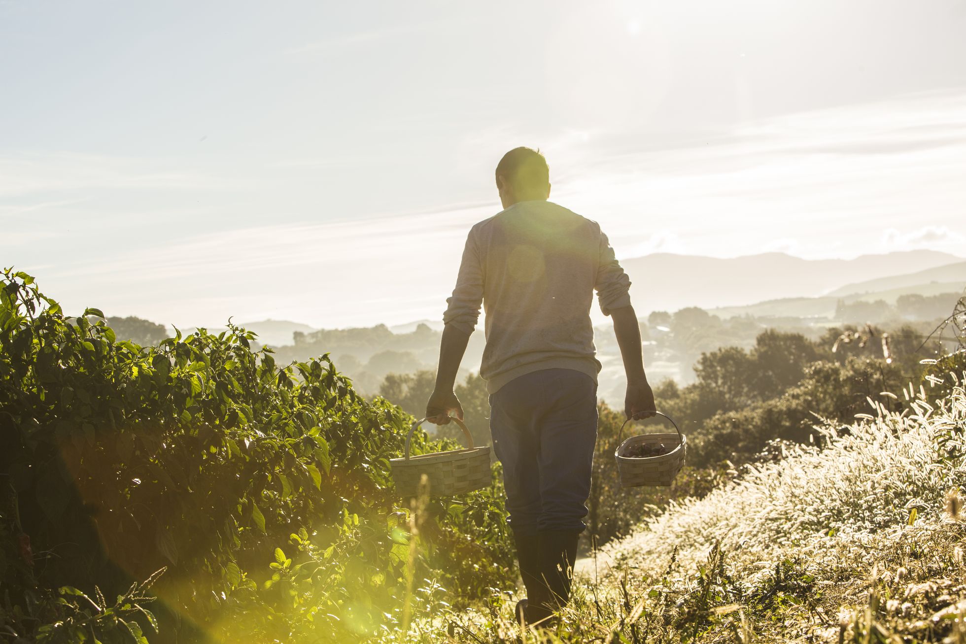 Les Hommes et la Nature