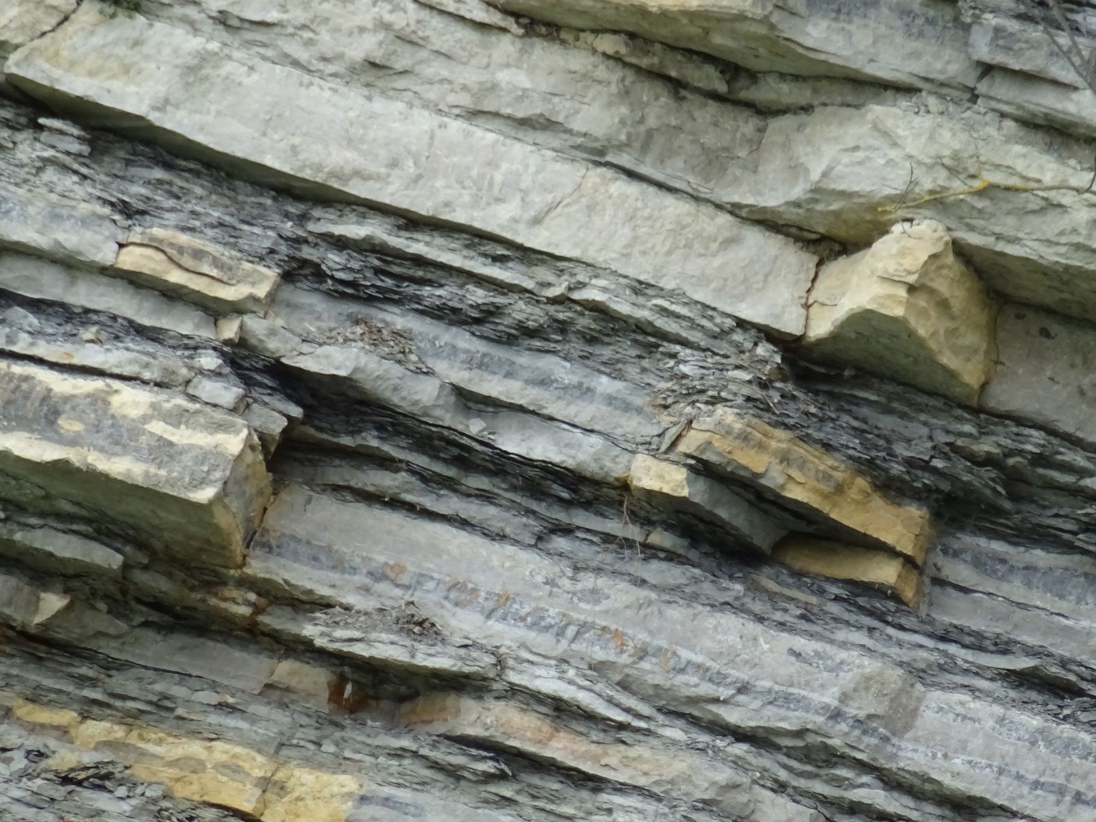 Pierre de Bidache ou flysch formé par avalanches sous-marines @cpie littoral basque