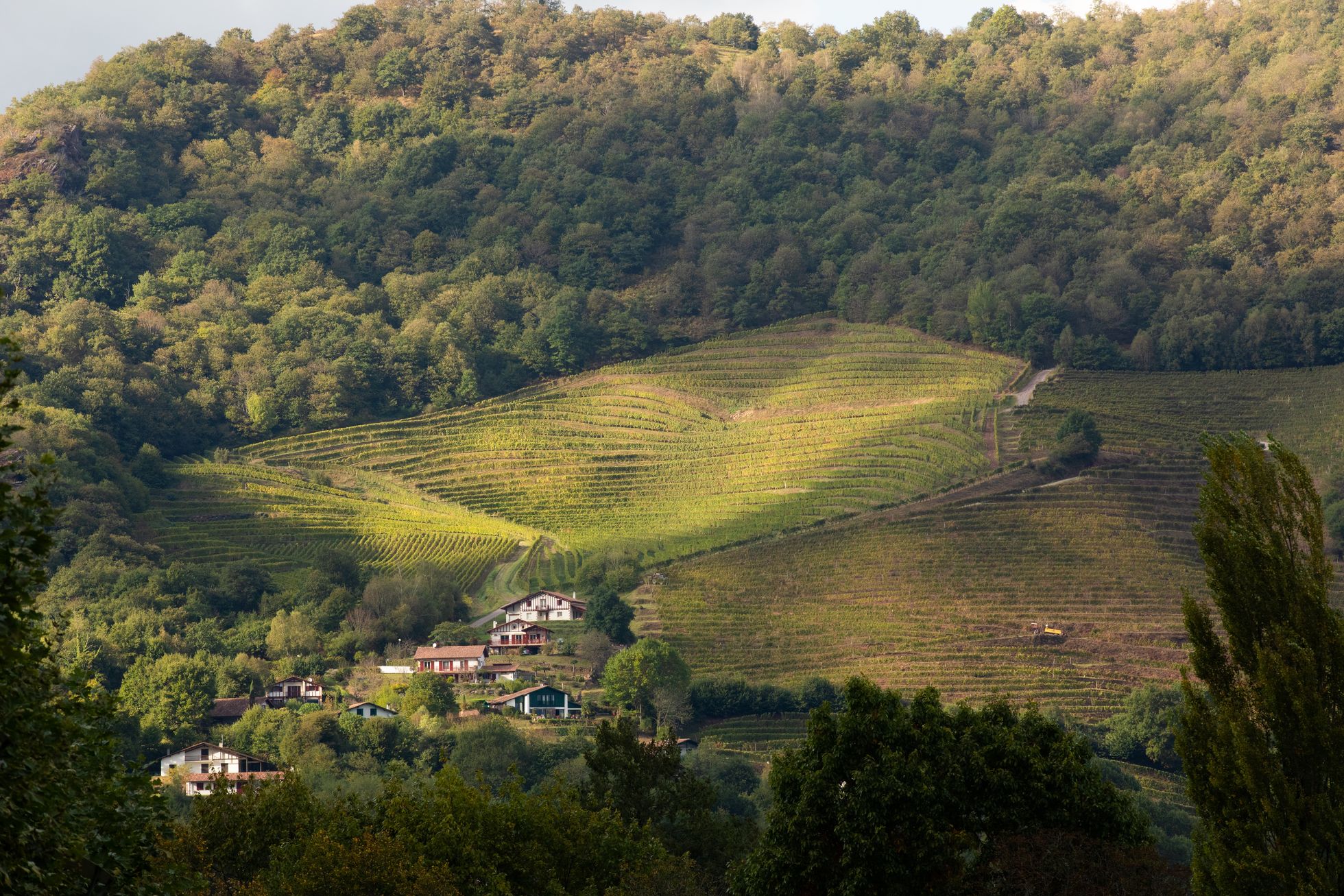 ST JEAN PIED DE PORT