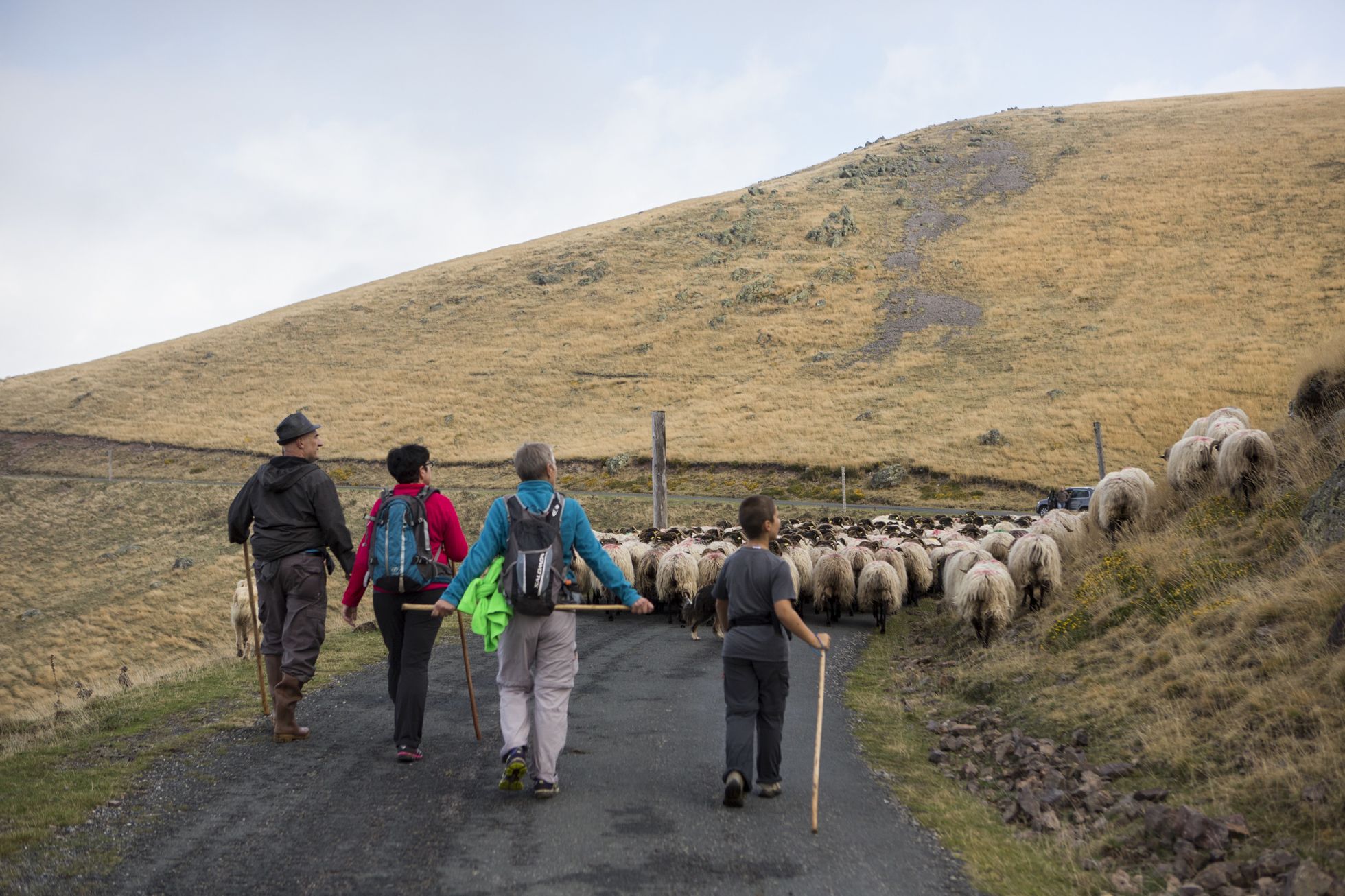 TRANSHUMANCE