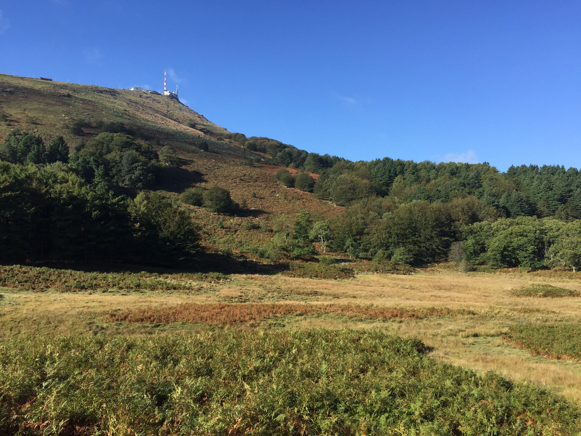 Tourbières de la Rhune ©Communauté Pays Basque