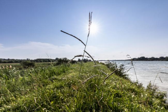 Cours d’eau et zones humides 